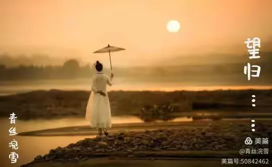 【题图*望归……】